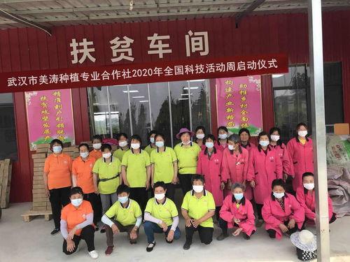 科(ke)技賦能(neng)農業(ye) 美(mei)濤(tao)助(zhu)力(li)鄉(xiang)村振(zhen)興(xing)——武(wu)漢(han)美(mei)濤(tao)積(ji)極參與(yu)全國(guo)科(ke)技活(huo)動周(zhou)紀(ji)實