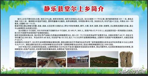 靜(jing)樂縣(xian)兩(liang)鄉(xiang)特優農(nong)產(chan)品展(zhan)銷暨體(ti)驗式拓展(zhan)活(huo)動在(zai)古(gu)城南廣場(chang)隆(long)重(zhong)啟(qi)幕(mu)